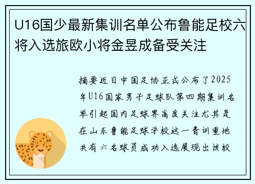 U16国少最新集训名单公布鲁能足校六将入选旅欧小将金昱成备受关注